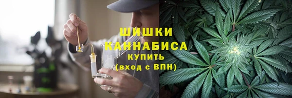 гидра Елизово