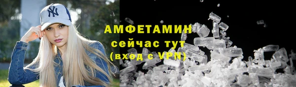 гидра Елизово