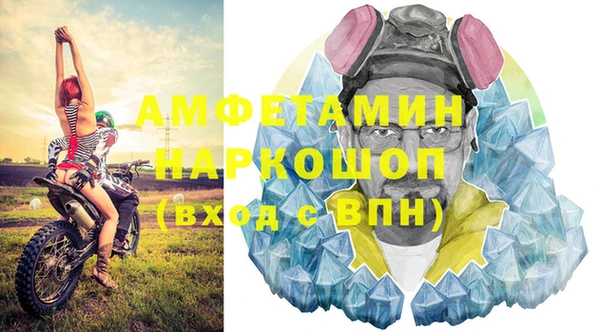 гидра Елизово