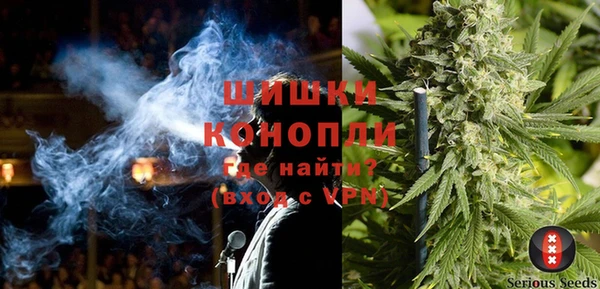 гидра Елизово