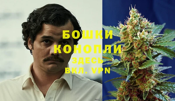 гидра Елизово