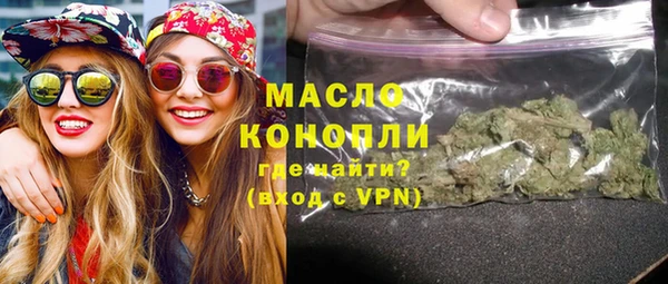 гидра Елизово