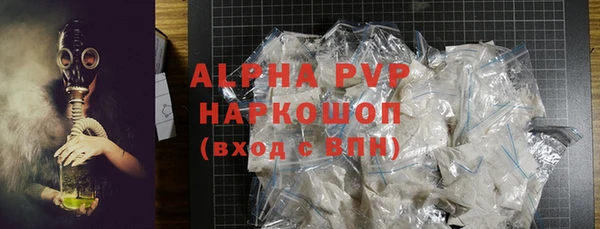 гидра Елизово